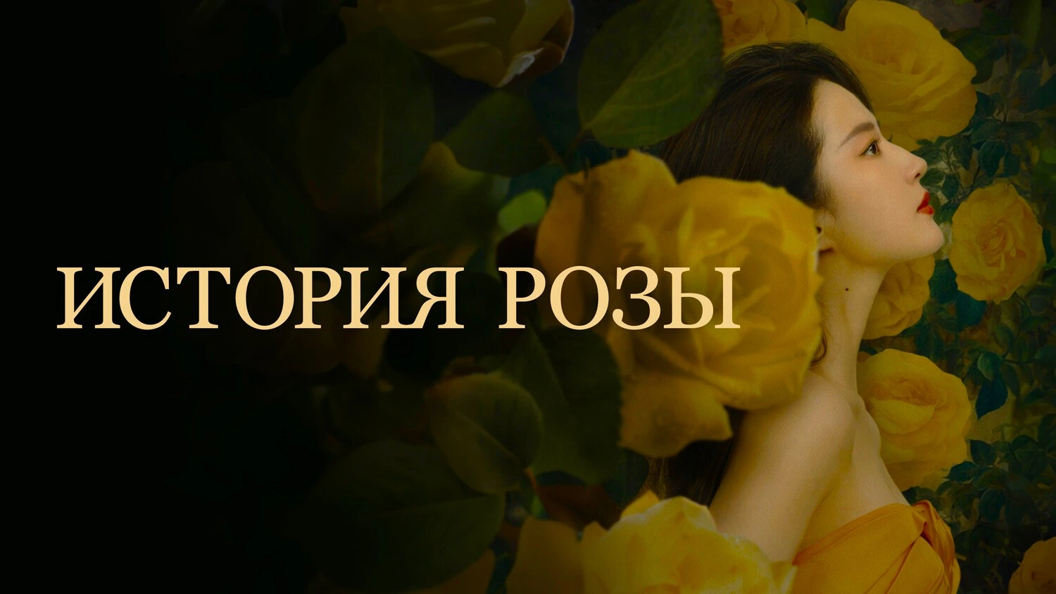 История розы