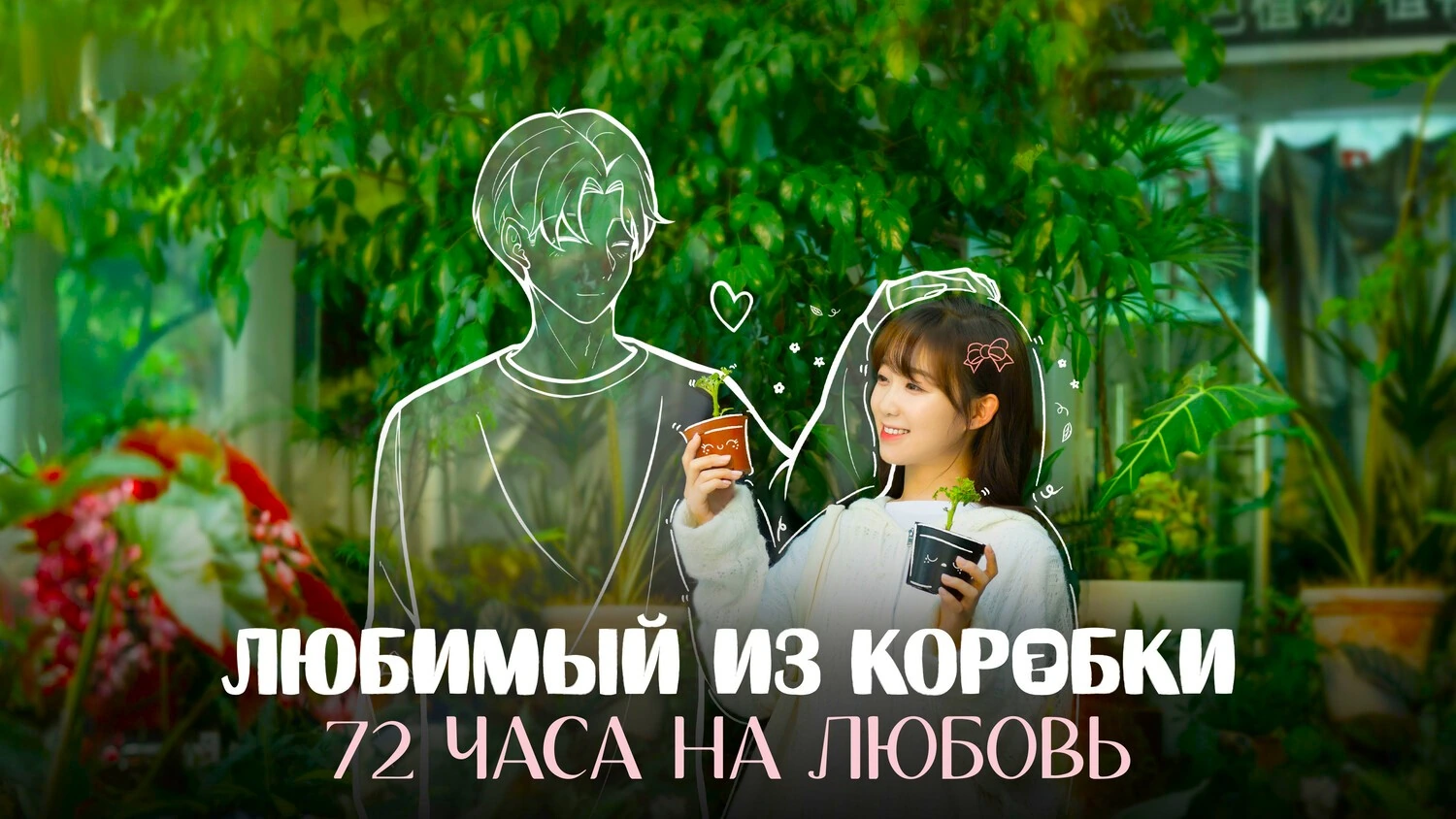 Любимый из коробки