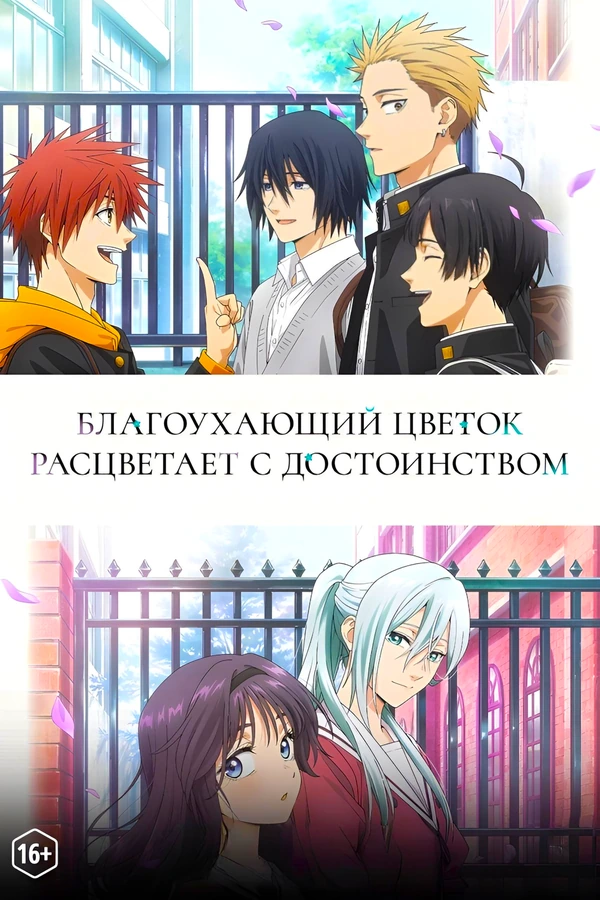 Благоухающий цветок расцветает с достоинством